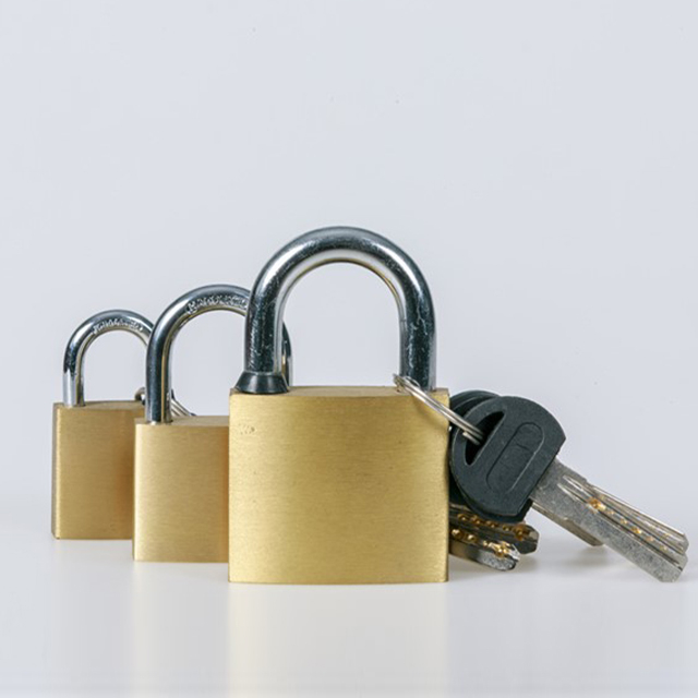 Brass Padlock With Computer Keys