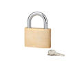 The Background Of Padlocks(1)